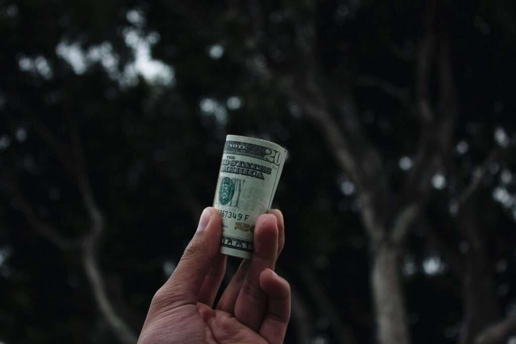 financial independence- dollar roll- money-language